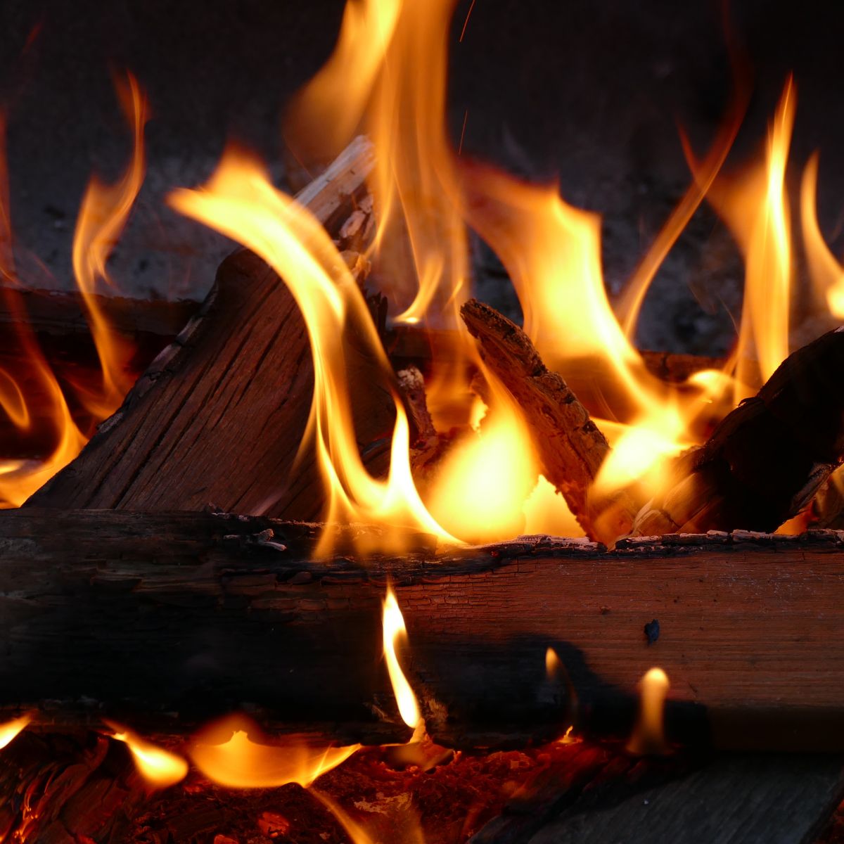 Flammer